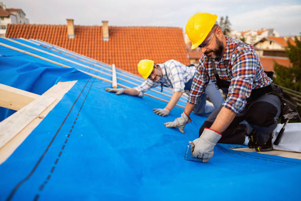 Best Rubber Roofing (EPDM, TPO)  in Rainier, WA