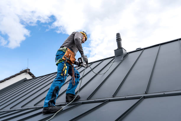 Best Roof Maintenance and Cleaning  in Rainier, WA