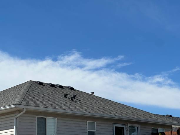Best Chimney Flashing Repair  in Rainier, WA